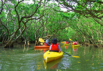 people kayaking in new zealand