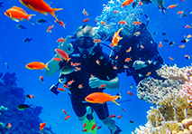 two people scuba diving in whitsunday islands