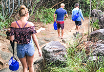 people walking through vegetation in exumas