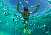 snorkeling in st lucia  grenadines