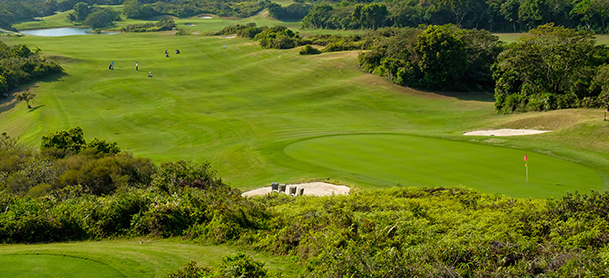 Golf course fairway and green