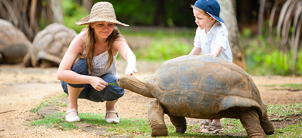 Woman and child with tortoise