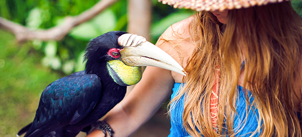 Woman with black bird on her arm
