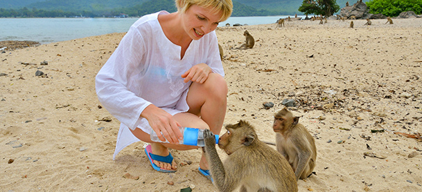 Woman giving bottle of water to monkeys