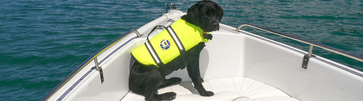 Top 10 Tips for Boating with Your Furry Friends