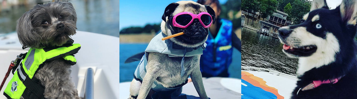 Boating Pet Safety