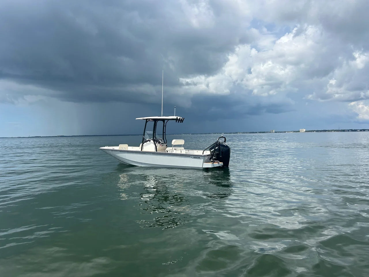 2027 Boston Whaler 210 Montauk 21.0 feet, Pensacola, Florida #8