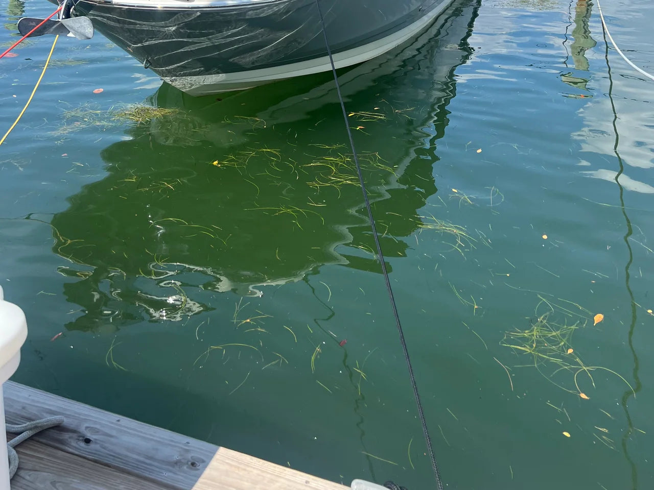 2021 Sea Ray 270 SD OB 29.0 feet, Miami Beach, FL #3