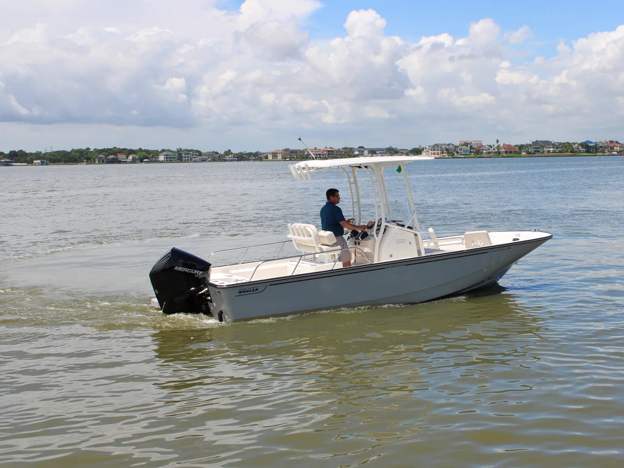 2026 Boston Whaler 210 Montauk 21.0 feet, Seabrook, TX #8