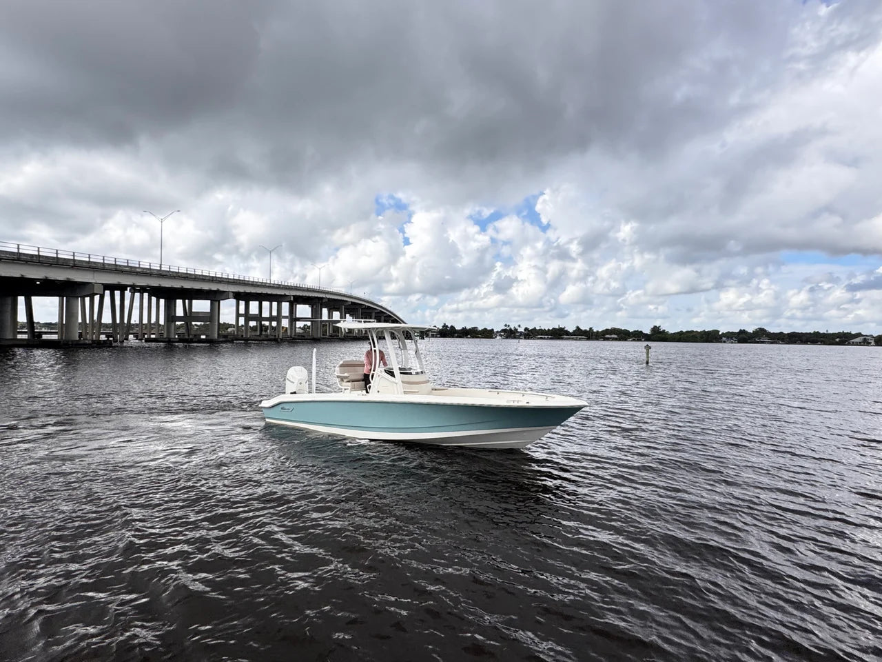 2026 Boston Whaler 250 Dauntless 25.0 feet, Stuart, Florida #2
