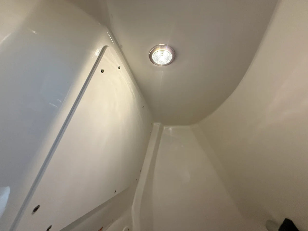 2026 Boston Whaler 250 Dauntless 25.0 feet, Crosslake, Minnesota #79