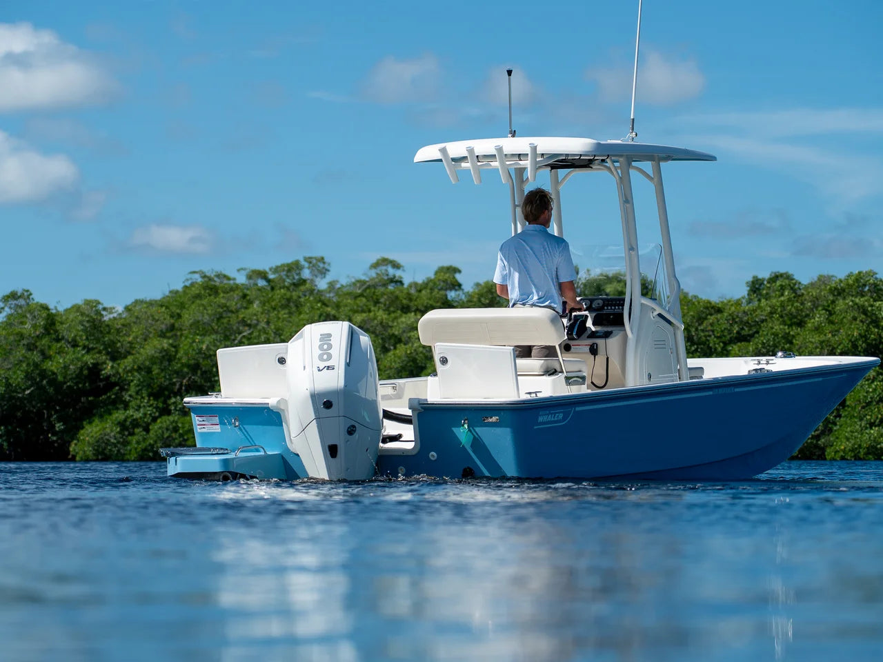 2026 Boston Whaler 210 Montauk 21.0 feet, Fort Myers, FL #23