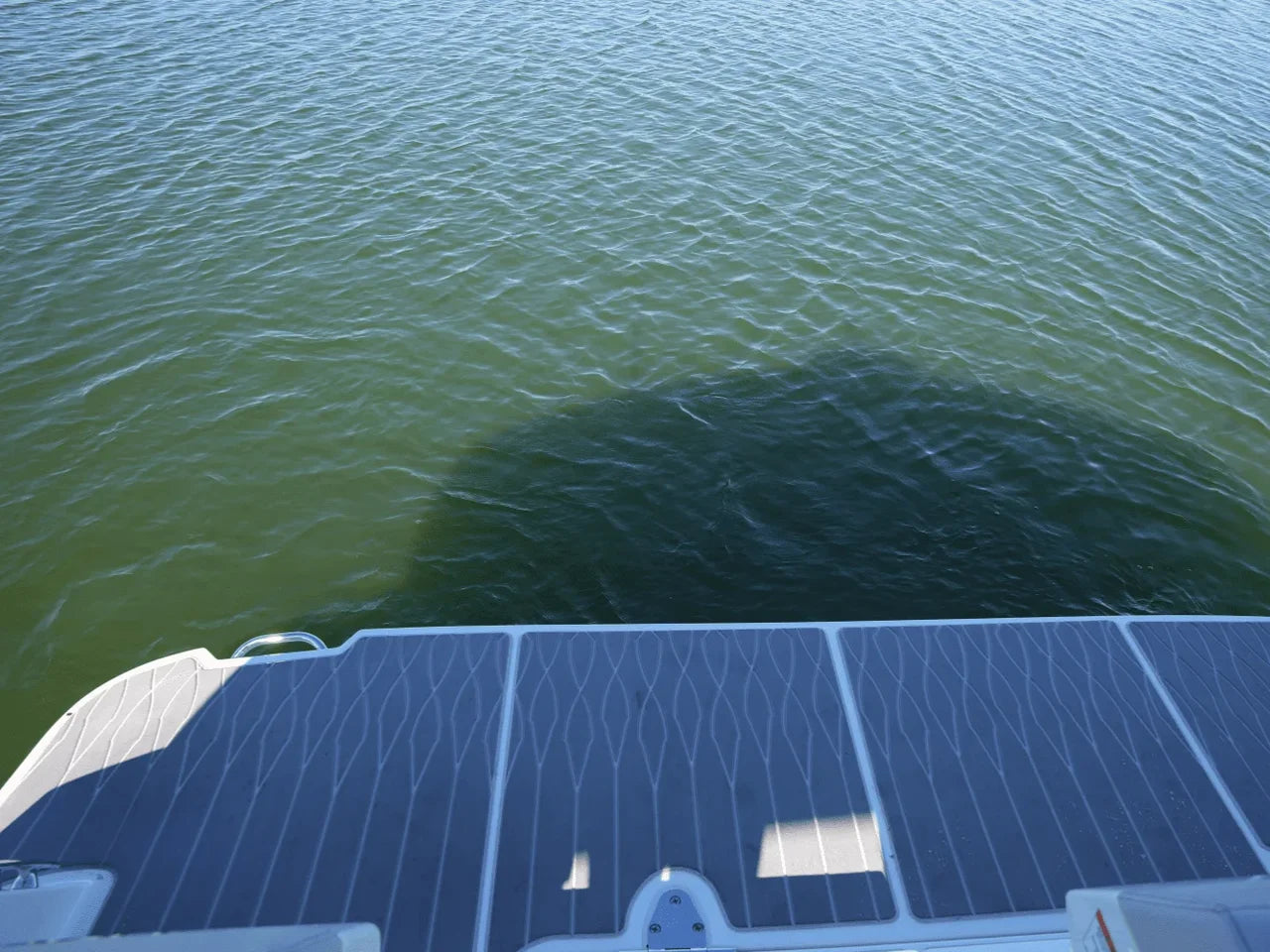 2025 Sea Ray Sundancer 370 37.0 feet, Lewisville, TX #10