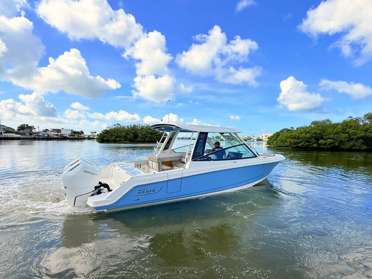 2027 Boston Whaler 330 Vantage 33.0 feet, St Petersburg, FL #15