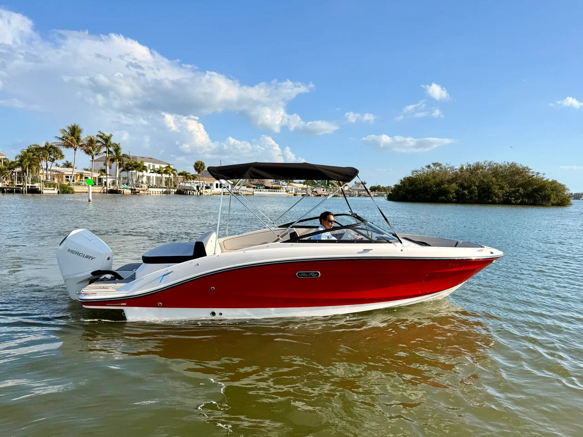 2026 Sea Ray SPX 210 Outboard 21.0 feet, St Petersburg, FL #4
