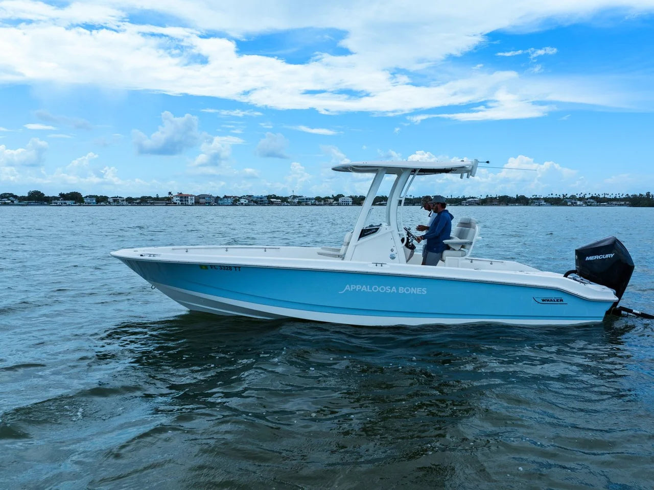 2024 Boston Whaler 250 DAUNTLESS 25.0 feet, St Petersburg, FL #41