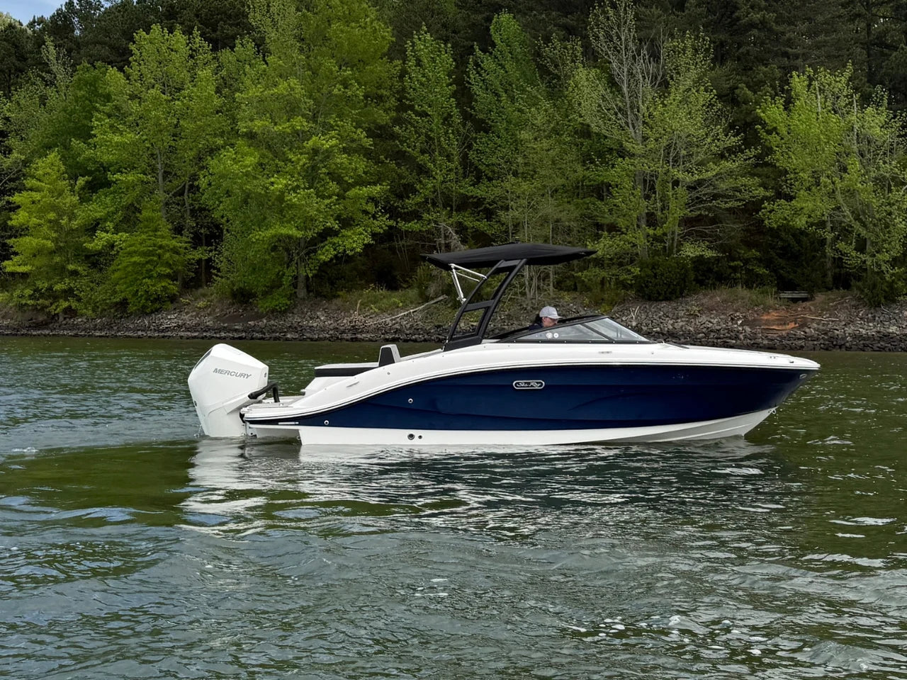 2026 Sea Ray SPX 210 Outboard 21.0 feet, Lake Wylie, SC #5
