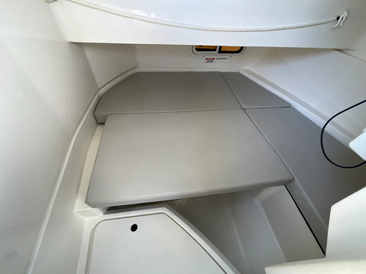 2021 Sea Ray 250 SDX OB 27.0 feet, Jacksonville Beach, Florida #3