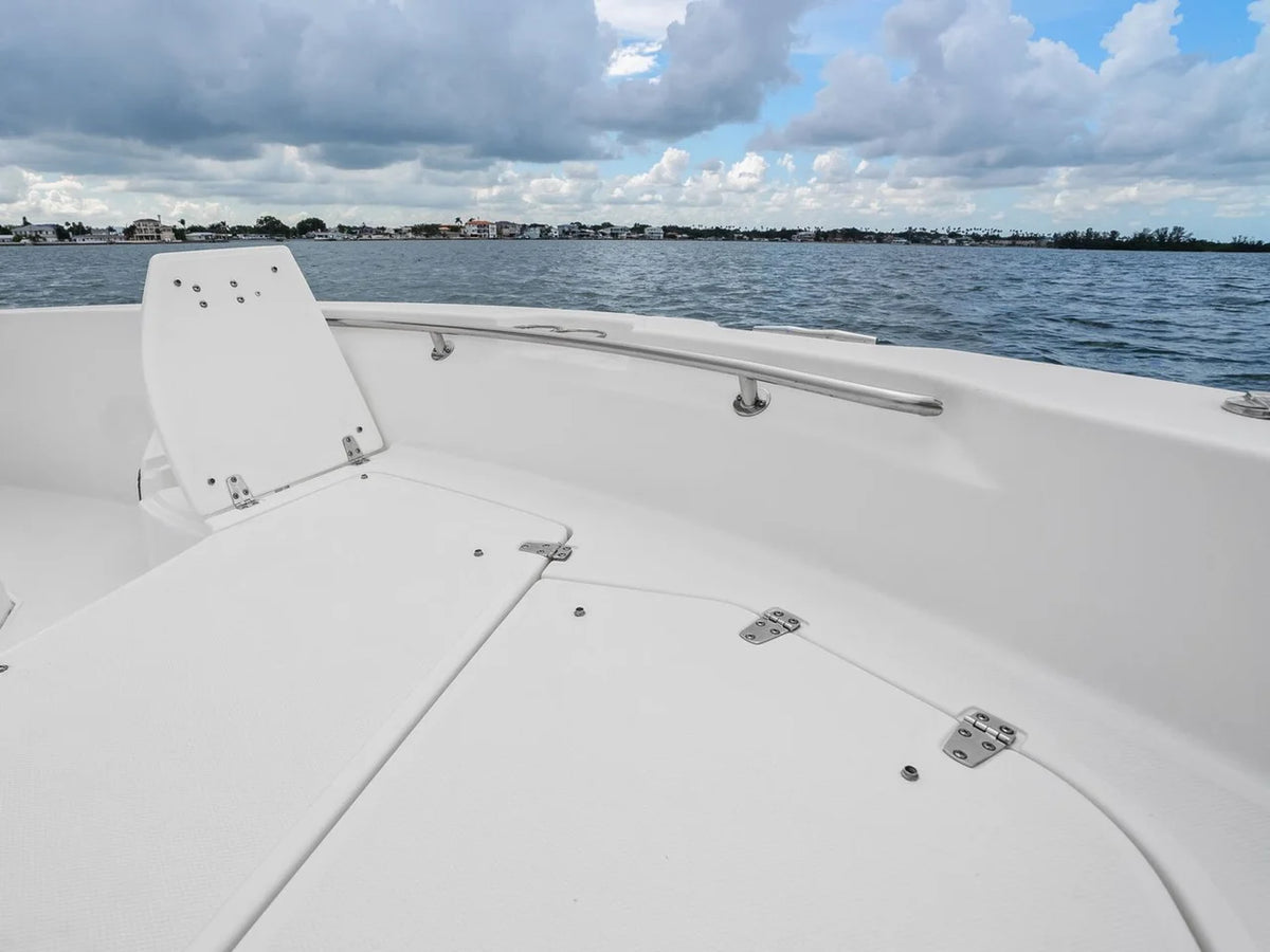 2024 Boston Whaler 250 DAUNTLESS 25.0 feet, St Petersburg, FL #19