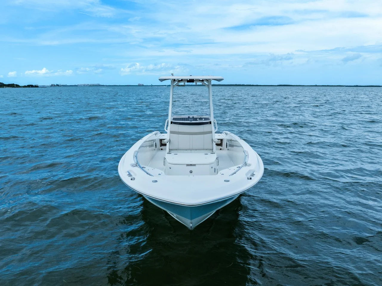 2024 Boston Whaler 250 DAUNTLESS 25.0 feet, St Petersburg, FL #2