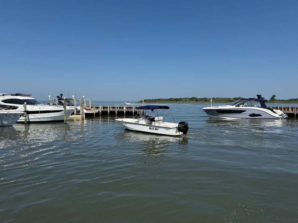 2018 Boston Whaler 210 MONTAUK 21.0 feet, Somers Point, New Jersey #33