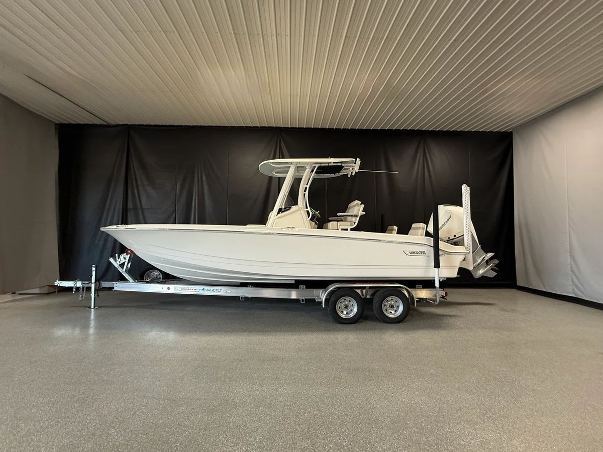 2026 Boston Whaler 250 Dauntless 25.0 feet, Crosslake, Minnesota #3