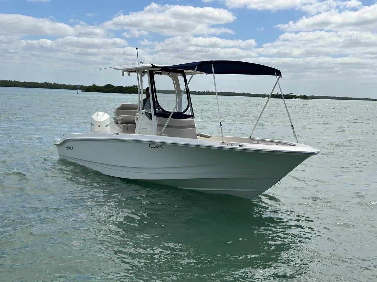 2024 Boston Whaler 250 DAUNTLESS 25.0 feet, Naples, Florida #4