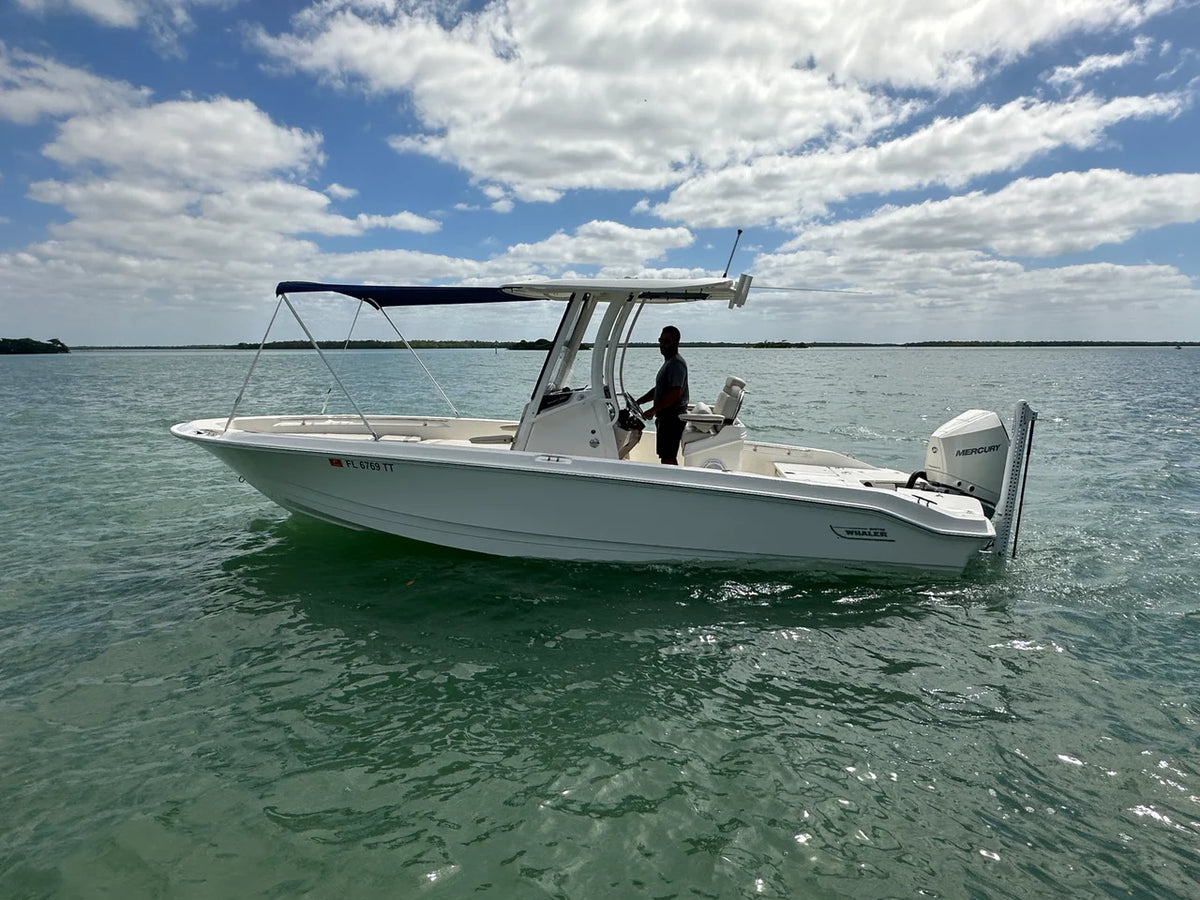 2024 Boston Whaler 250 DAUNTLESS 25.0 feet, Naples, Florida #13