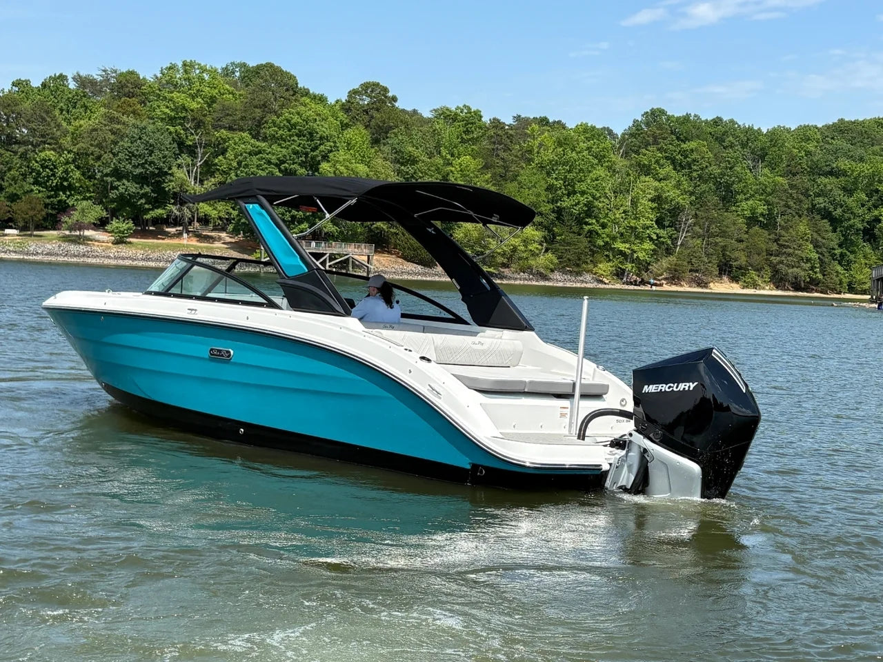 2026 Sea Ray SDX 250 Outboard 25.0 feet, Lake Wylie, SC #2
