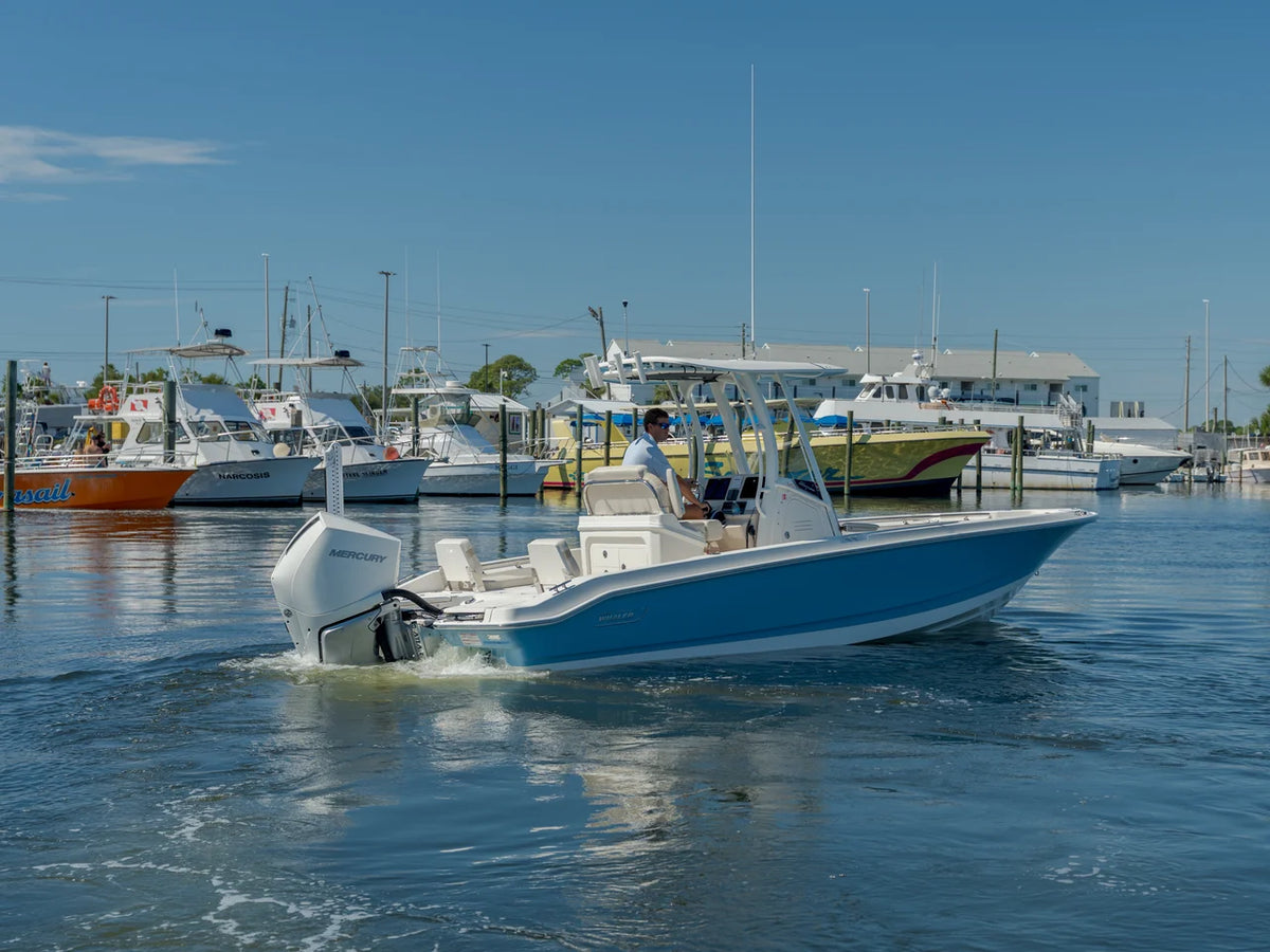 2027 Boston Whaler 250 Dauntless 25.0 feet, Panama City, FL #4