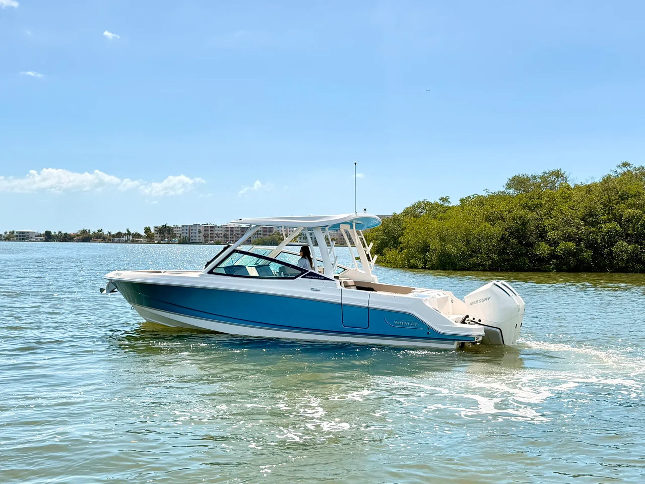 2026 Boston Whaler 280 Vantage 28.0 feet, St Petersburg, FL #17