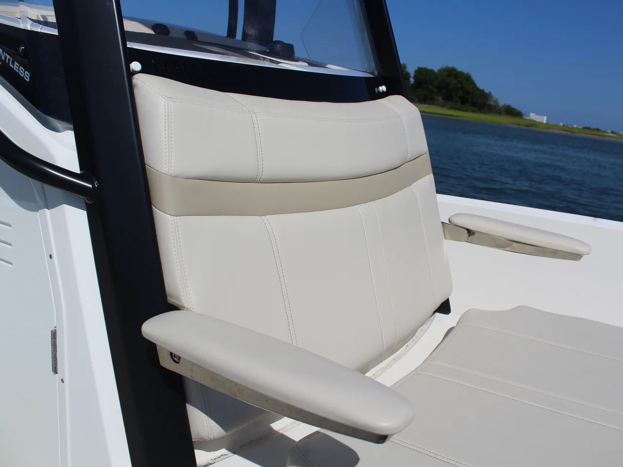 2025 Boston Whaler 250 DAUNTLESS 25.0 feet, Wilmington, NC #19