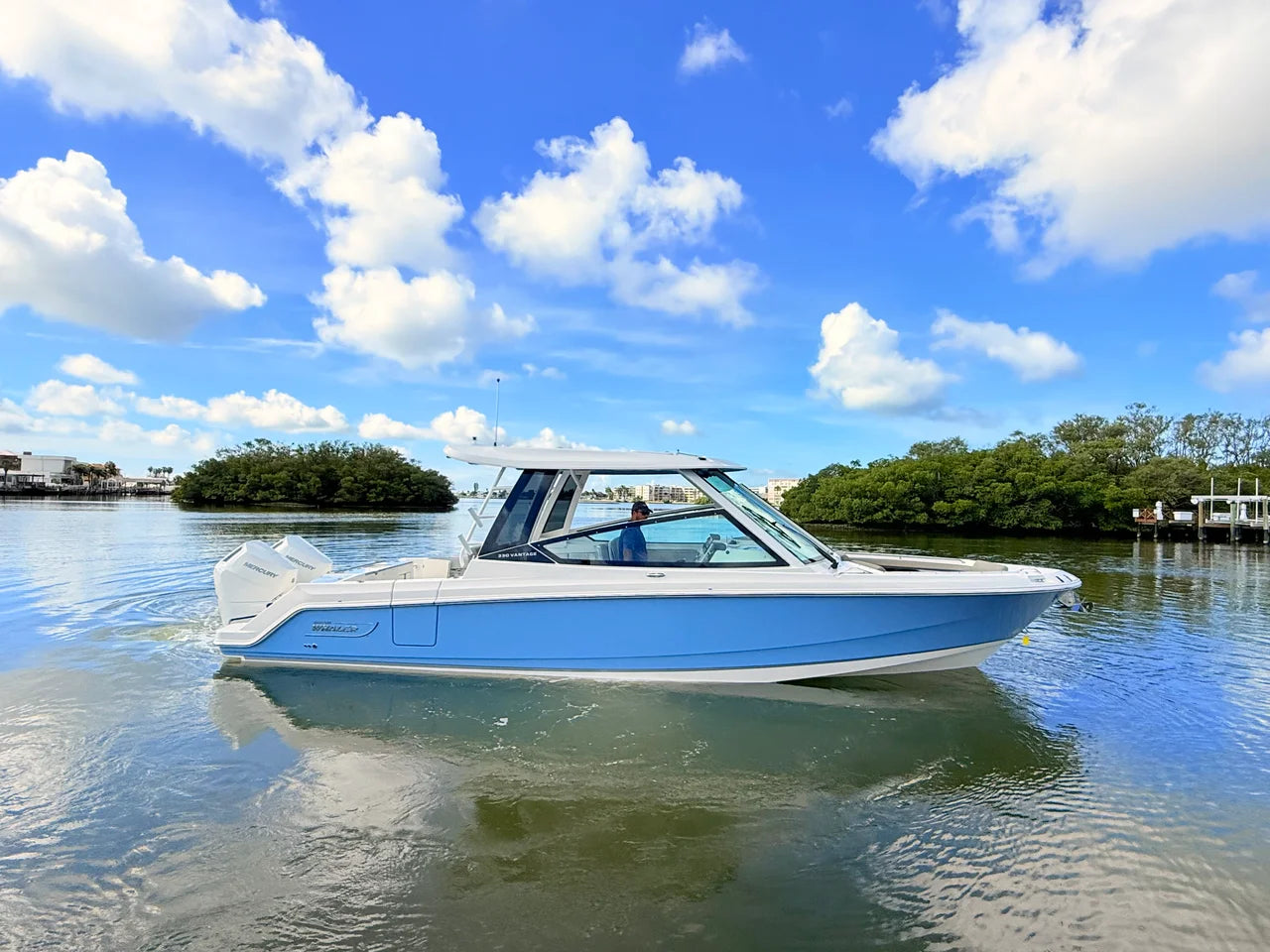 2027 Boston Whaler 330 Vantage 33.0 feet, St Petersburg, FL #13