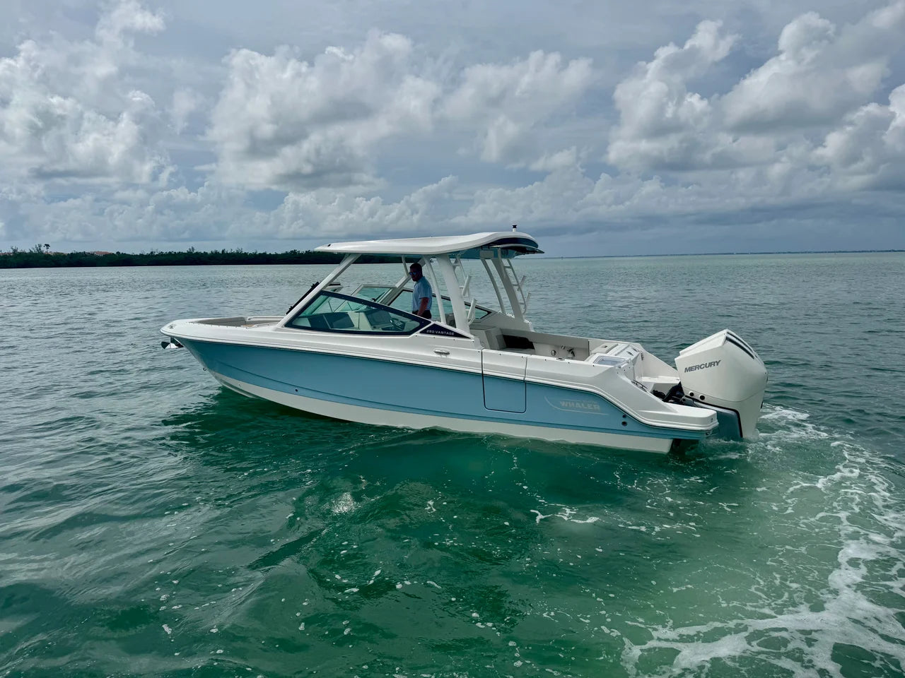 2024 Boston Whaler 280 VANTAGE 29.0 feet, Sarasota, FL #10