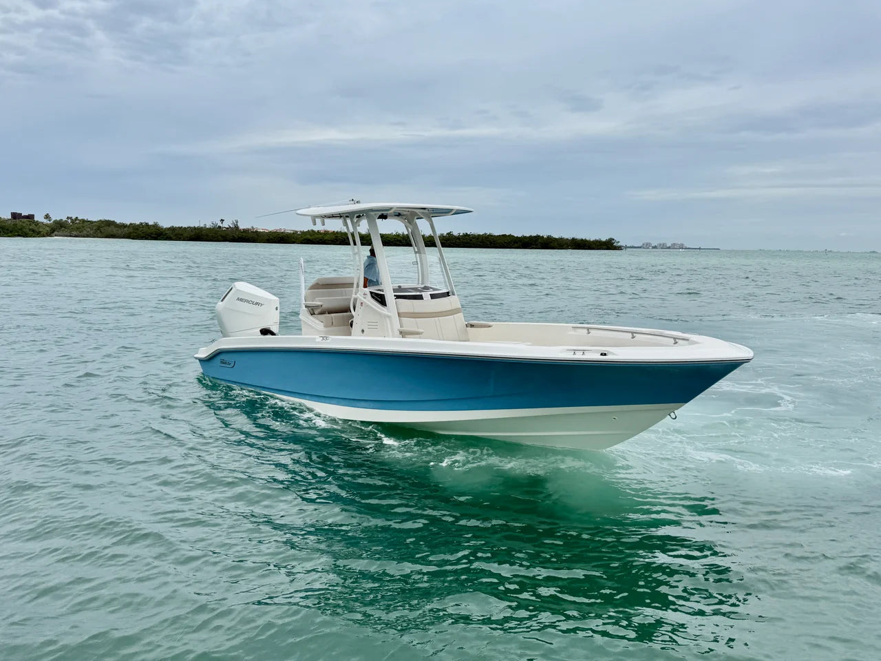 2026 Boston Whaler 250 Dauntless 25.0 feet, Sarasota, FL #3