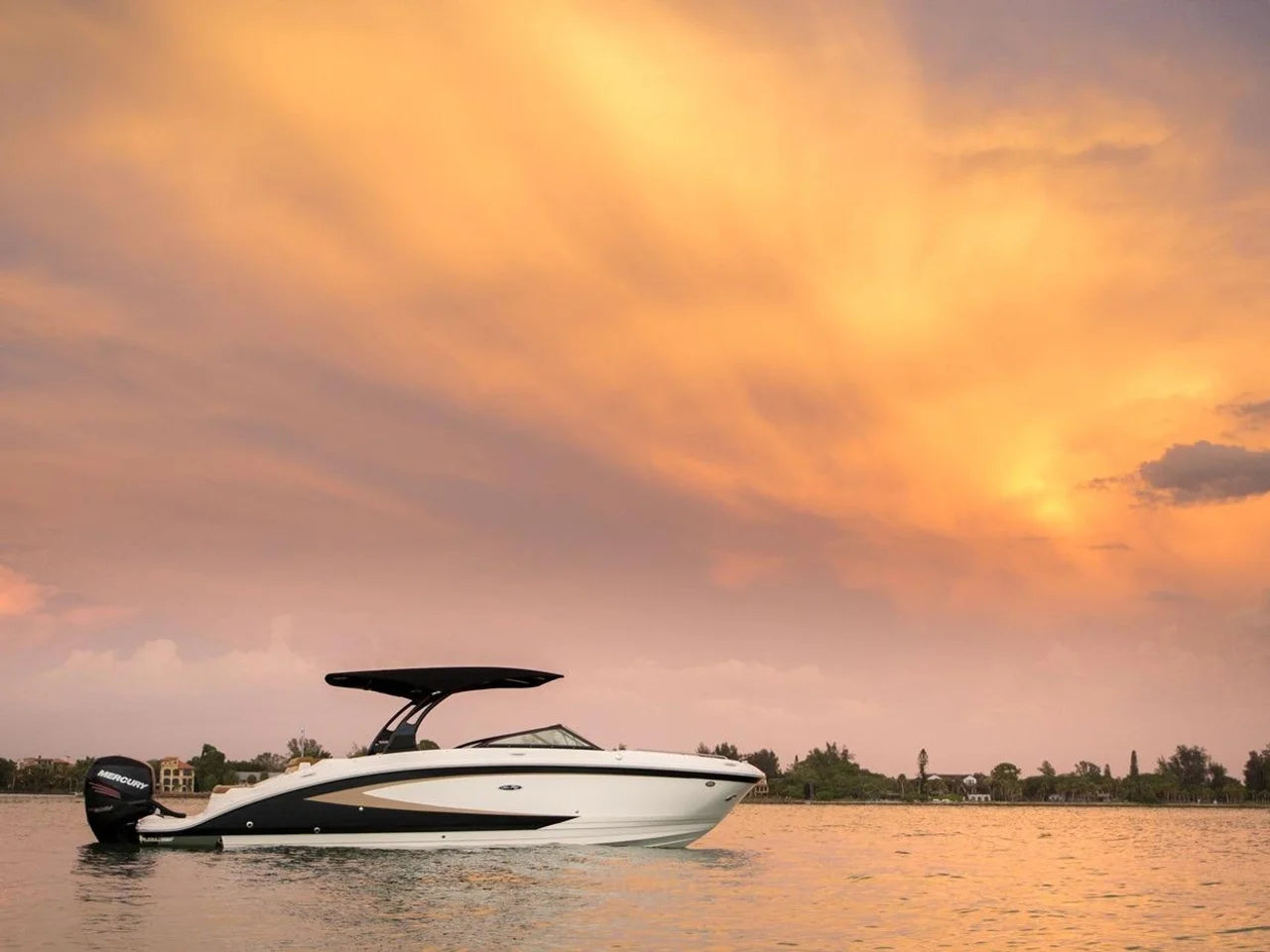 2016 Sea Ray 270 Sundeck Outboard 27.0 feet, Jupiter, Florida #4