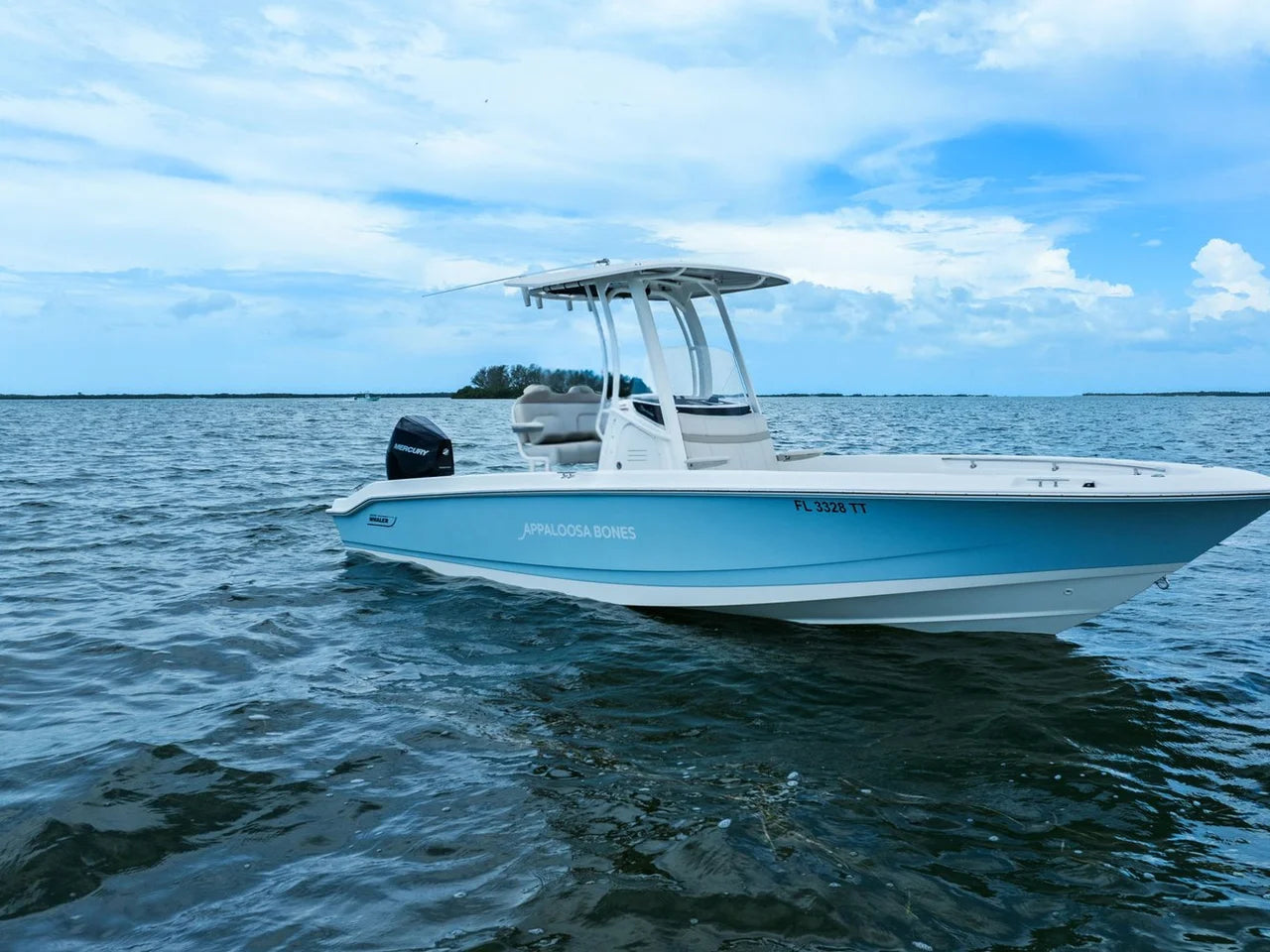 2024 Boston Whaler 250 DAUNTLESS 25.0 feet, St Petersburg, FL #3