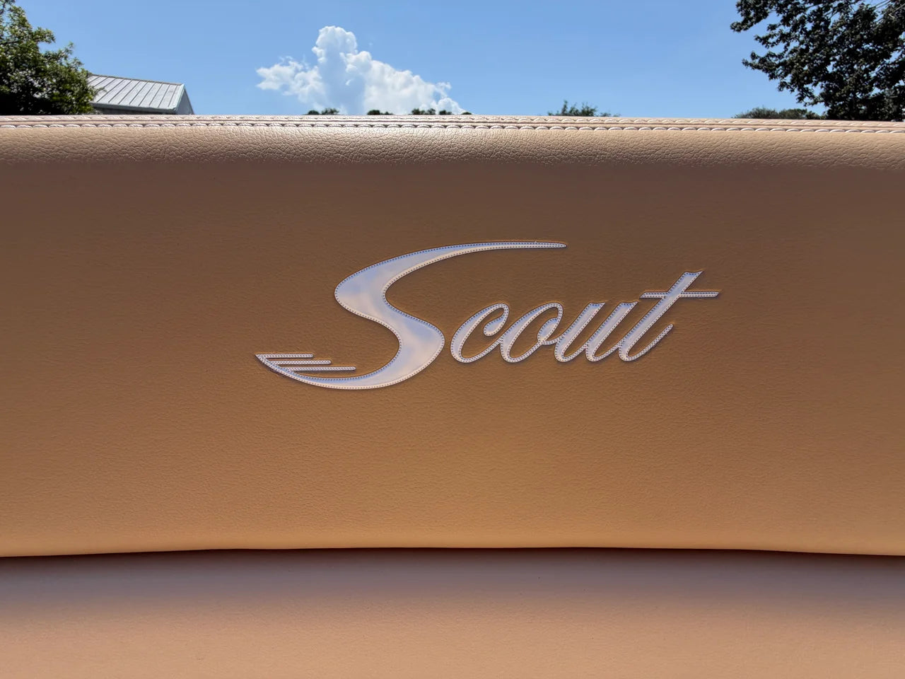 2024 Scout 255 DORADO 25.0 feet, Charleston, SC #27
