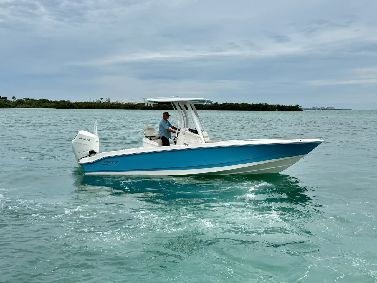 2026 Boston Whaler 250 Dauntless 25.0 feet, Sarasota, FL #4