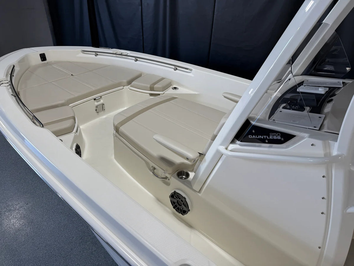 2026 Boston Whaler 250 Dauntless 25.0 feet, Crosslake, Minnesota #8