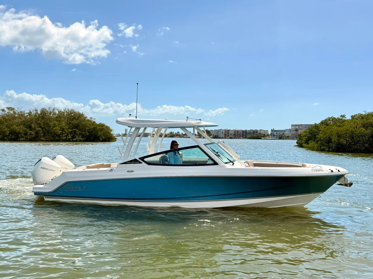 2026 Boston Whaler 280 Vantage 28.0 feet, St Petersburg, FL #29