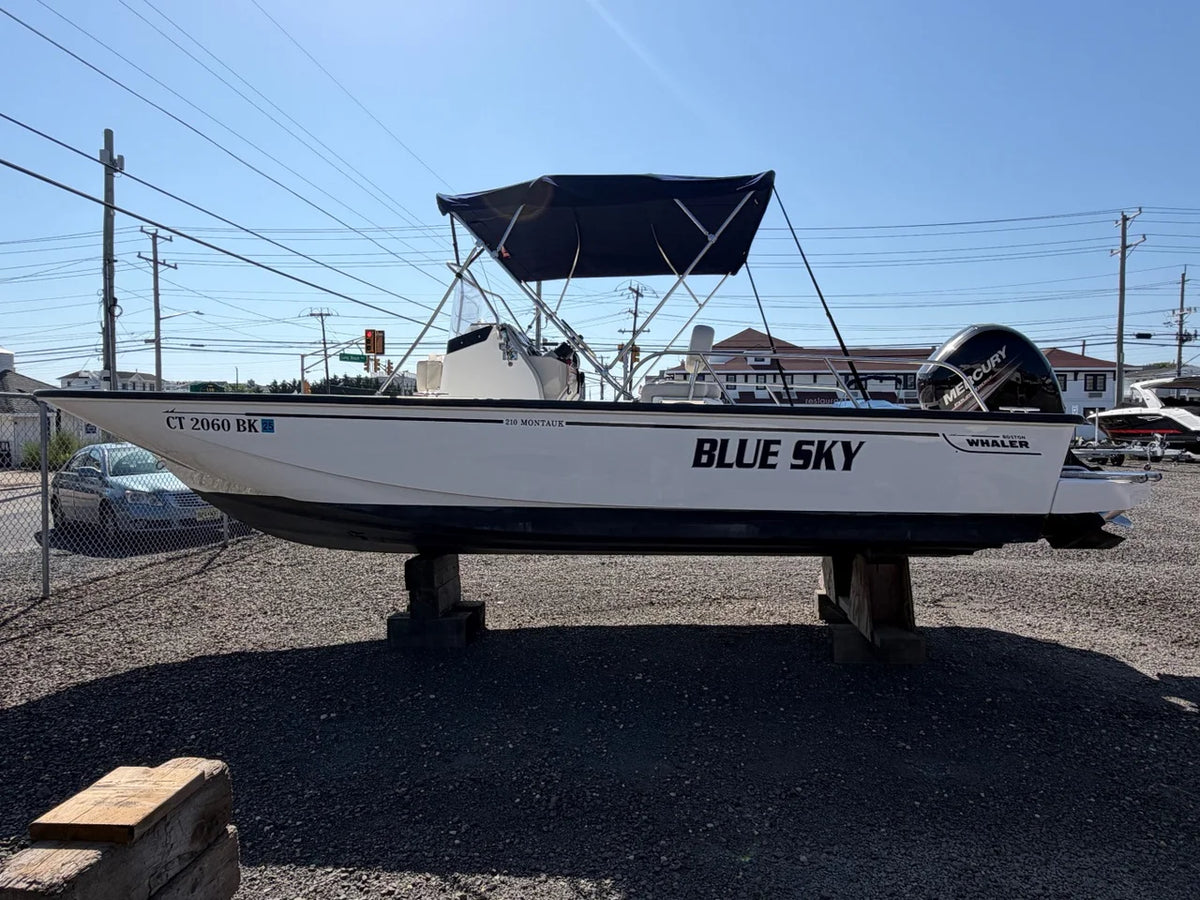 2018 Boston Whaler 210 MONTAUK 21.0 feet, Somers Point, New Jersey #3