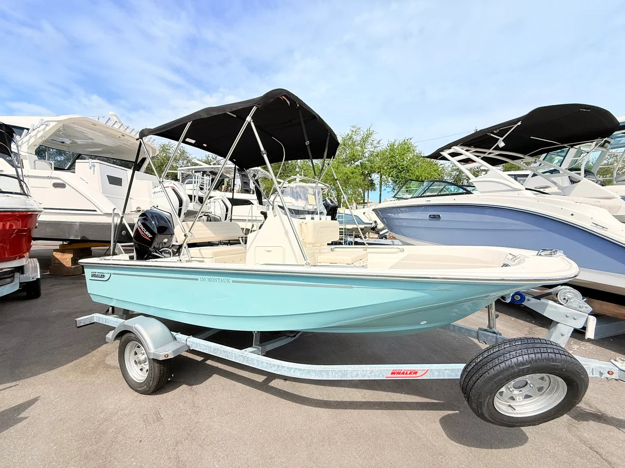 2026 Boston Whaler 150 Montauk 15.0 feet, St Petersburg, FL #2