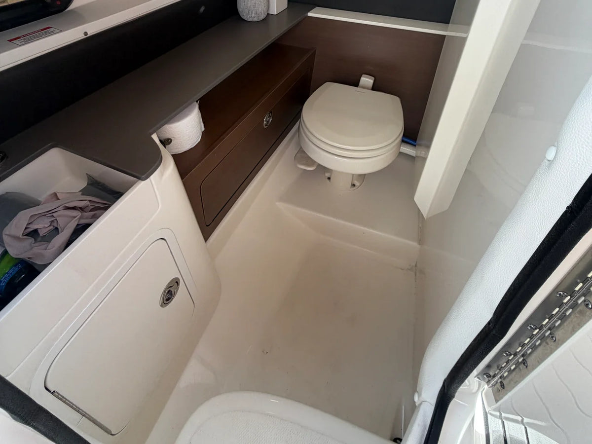 2020 Sea Ray 290 SDX OB 29.0 feet, Clearwater, Florida #17