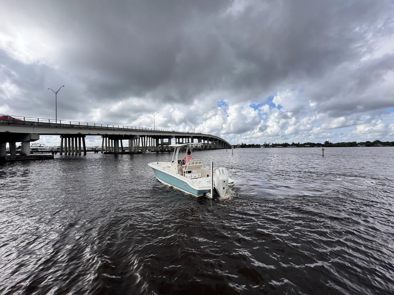 2026 Boston Whaler 250 Dauntless 25.0 feet, Stuart, Florida #6