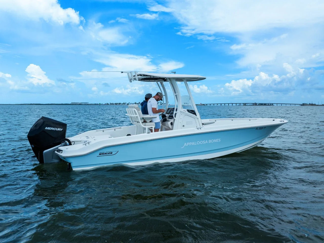 2024 Boston Whaler 250 DAUNTLESS 25.0 feet, St Petersburg, FL #38