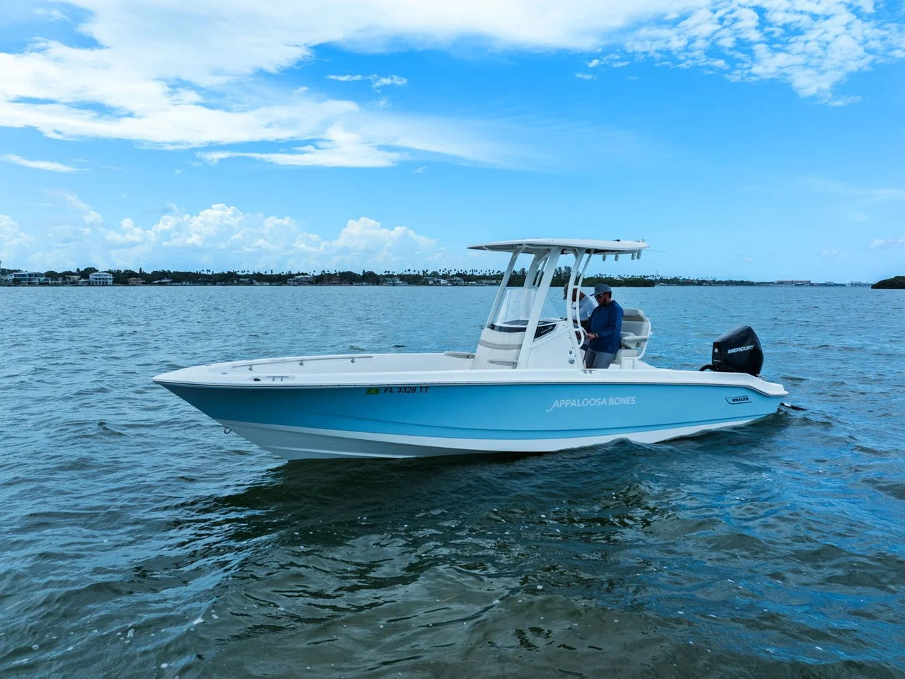 2024 Boston Whaler 250 DAUNTLESS 25.0 feet, St Petersburg, FL #42
