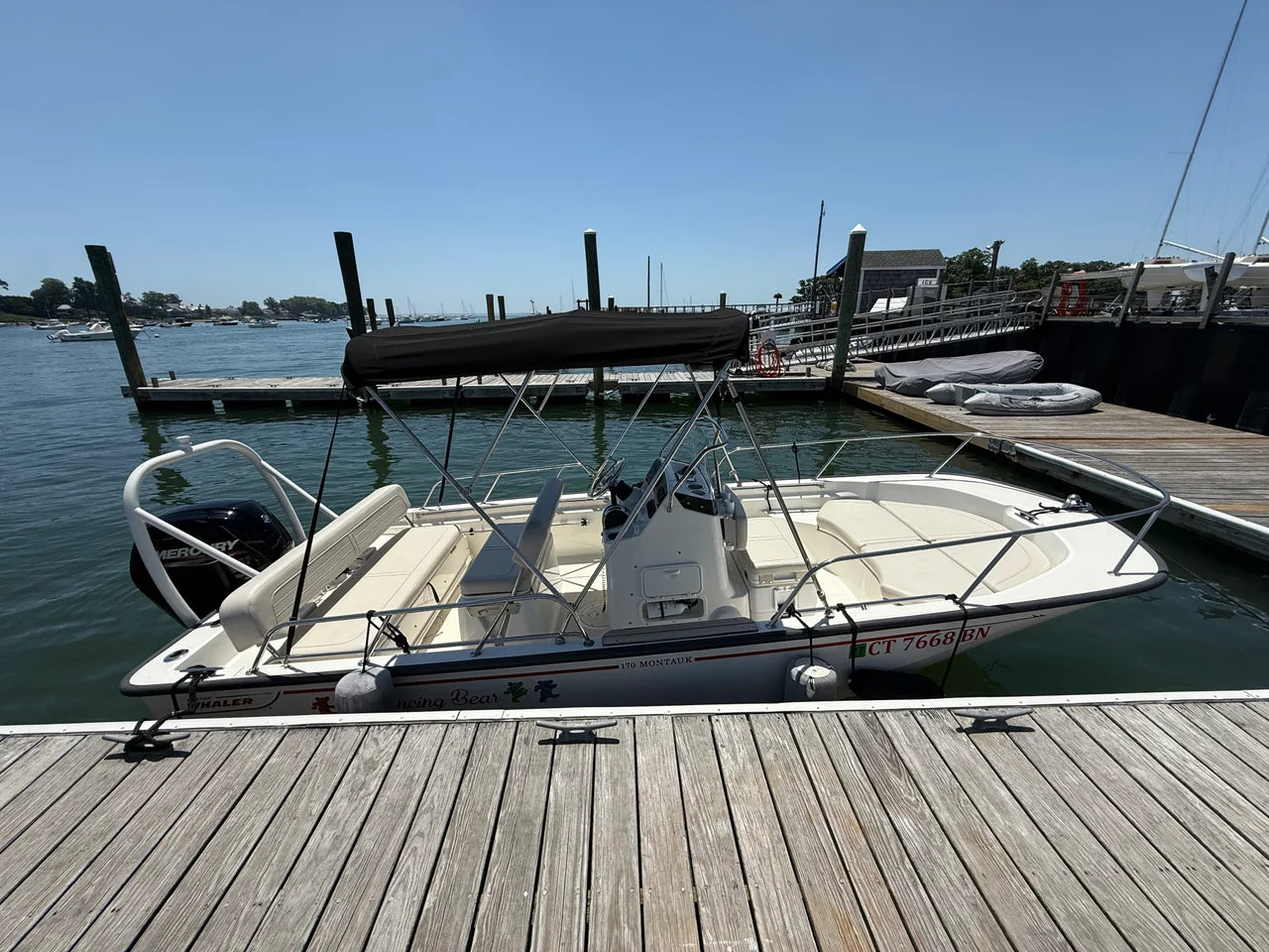 2022 Boston Whaler 170 MONTAUK 17.0 feet, New York, New York #5