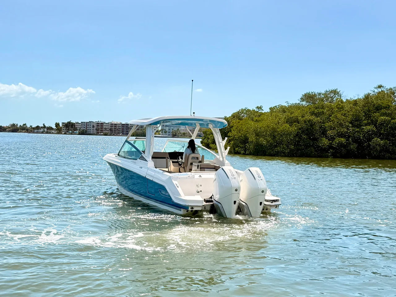 2026 Boston Whaler 280 Vantage 28.0 feet, St Petersburg, FL #14
