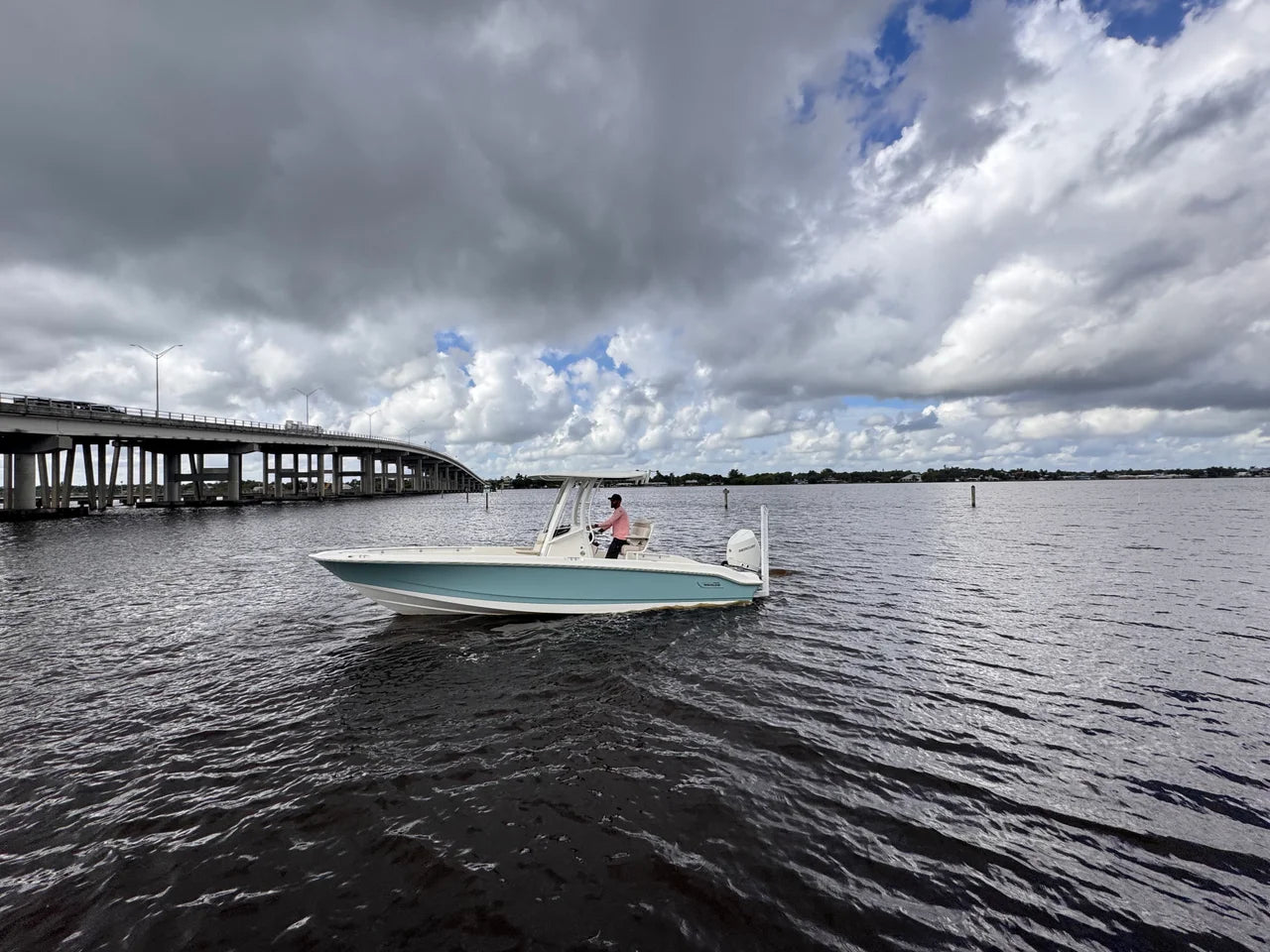 2026 Boston Whaler 250 Dauntless 25.0 feet, Stuart, Florida #1